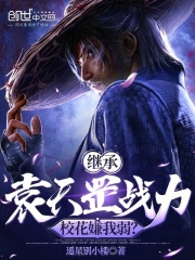 继承袁天罡战力，校花嫌我弱？在线阅读