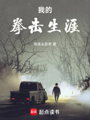 我的拳击生涯在线阅读