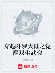 穿越斗罗大陆之觉醒双生武魂