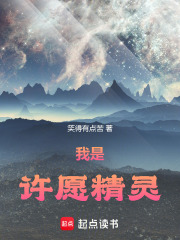 我是许愿神灵在线阅读