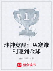球神觉醒：从塞维利亚到金球在线阅读