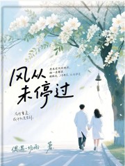 风从未停过在线阅读