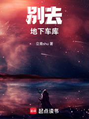 别去地下车库在线阅读