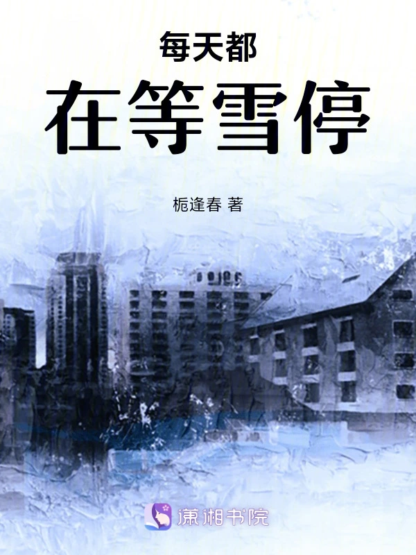 每天都在等雪停