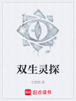 双生灵探在线阅读