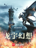 龙宇幻想封面