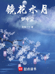 镜花水月