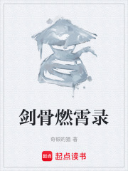 剑骨燃霄录在线阅读