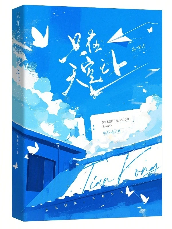 只在天空之上3