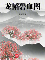 龙韬碧血图在线阅读