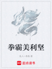 拳霸美利坚在线阅读