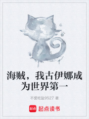 海贼，我古伊娜成为世界第一