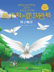 鸽子邮差（燕子号与亚马逊号）