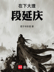 在下大理段延庆！在线阅读