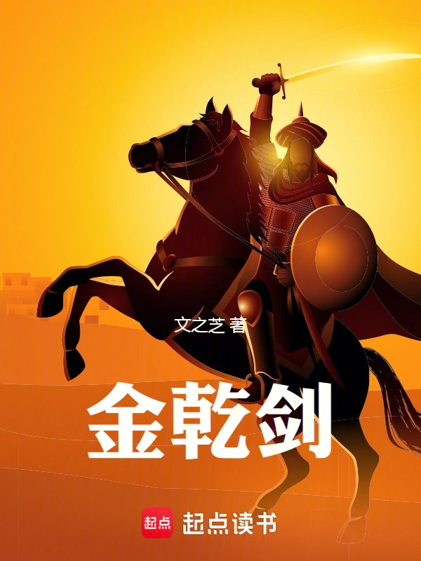 金乾剑的封面