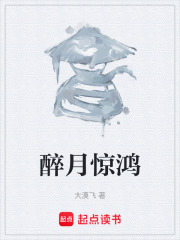 醉月惊鸿在线阅读