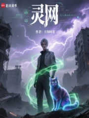 灵网