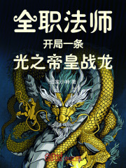 全职法师：开局一条光之帝皇战龙