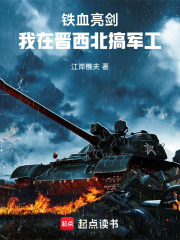 铁血亮剑：我在晋西北搞军工在线阅读
