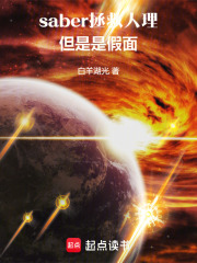 saber拯救人理，但是是假面在线阅读