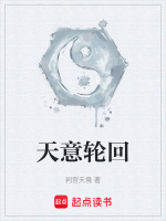 天意轮回在线阅读