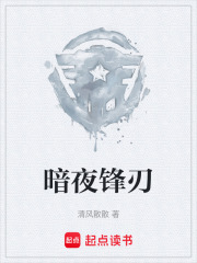 暗夜锋刃在线阅读