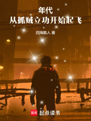 年代，从抓贼立功开始起飞在线阅读