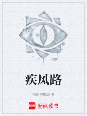 疾风路在线阅读