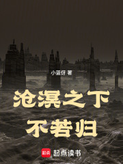 沧溟之下不若归在线阅读