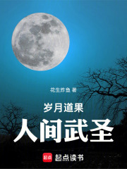 岁月道果，人间武圣在线阅读