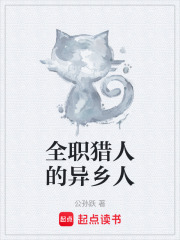 全职猎人的异乡人在线阅读