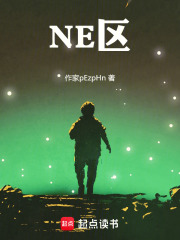 NE区