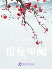 银枪叩阙在线阅读