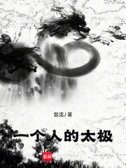 一个人的太极在线阅读