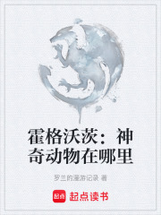 霍格沃茨：神奇动物在哪里