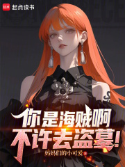 你是海贼啊，不许去盗墓！