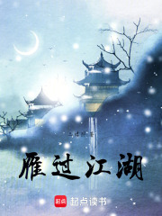 雁过江湖在线阅读