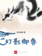 幻影御兽在线阅读