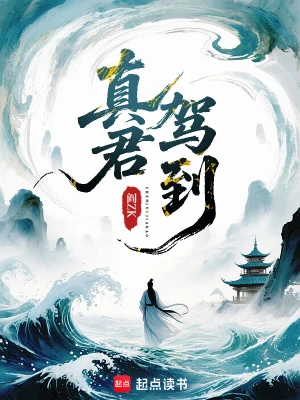 《真君驾到》（校对版全本）作者：阎ZK【TXT】