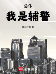 我是辅警在线阅读