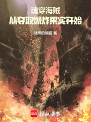 魂穿海贼：从夺取爆炸果实开始