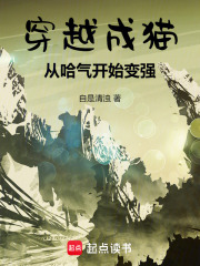 穿越成猫：从哈气开始变强