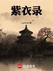 紫衣录在线阅读