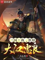 三国：我，蔡瑁，大汉忠良在线阅读