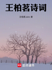 王柏茗诗词在线阅读