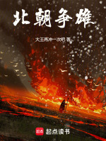 北朝争雄封面