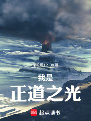 我是正道之光在线阅读