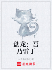 盘龙：吾乃雷丁