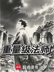 重量级法师在线阅读