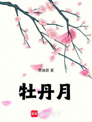 牡丹月在线阅读